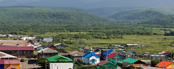 日本向俄提出南千岛群岛合作计划的细节 - 俄罗斯卫星通讯社