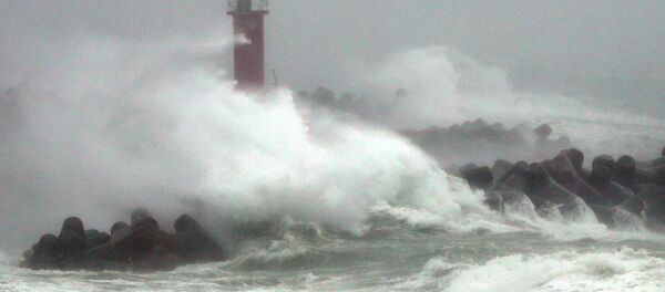 台风“苏力”覆盖韩国济州岛 正向首尔移动 台风“苏力”覆盖韩国济州岛 正向首尔移动 - 俄罗斯卫星通讯社