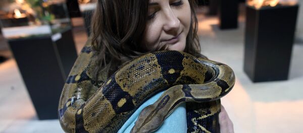 莫斯科動物園將開設照料野生動物課程 - 俄羅斯衛星通訊社