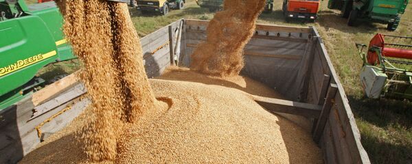 俄罗斯再次调高今年粮食产量预测 将达1.09亿吨 俄罗斯再次调高今年粮食产量预测 将达1.09亿吨 - 俄罗斯卫星通讯社