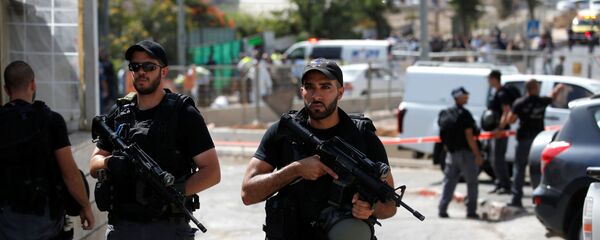 以色列警察 - 俄罗斯卫星通讯社