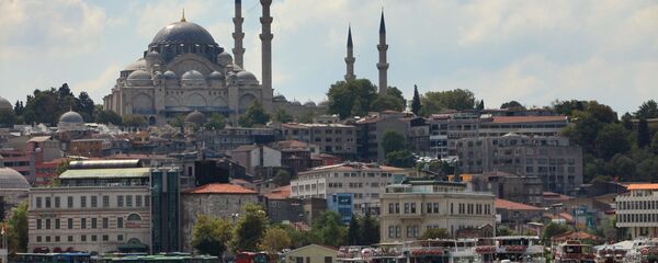 俄總統新聞秘書：普京未在伊斯坦布爾討論同土耳其建立共同反導系統的問題 - 俄羅斯衛星通訊社