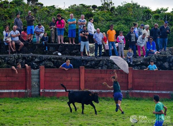 Бой быков на острове Пику в Португалии - 俄羅斯衛星通訊社