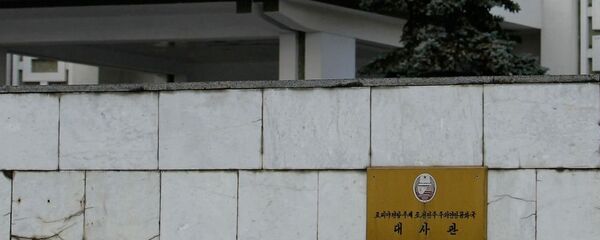 朝鮮駐俄羅斯大使館 - 俄羅斯衛星通訊社
