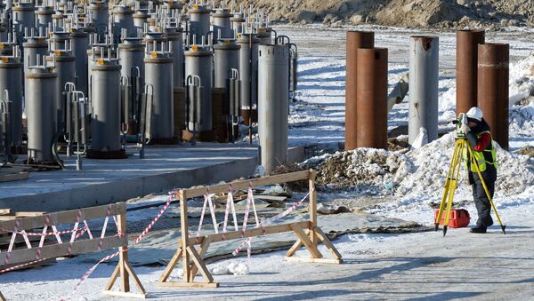 诺瓦泰克在东方经济论坛期间将签署在勘察加建立液化天然气综合设施的协议 - 俄罗斯卫星通讯社