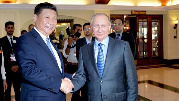 中国外交部：中国国家主席习近平将在岘港与俄罗斯总统普京举行会见 - 俄罗斯卫星通讯社