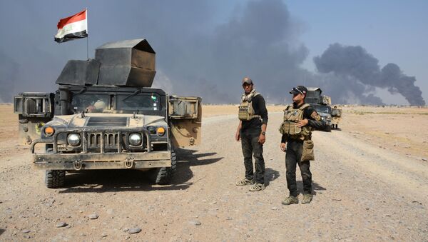 伊拉克空军在摩苏尔撒下即将解放行动的预警传单 - 俄罗斯卫星通讯社