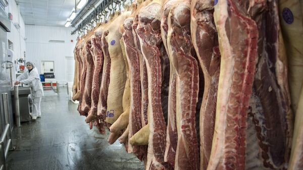 俄农业银行：俄猪肉产量增长近60%且消费量也在增长 - 俄罗斯卫星通讯社