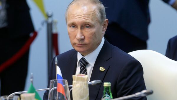 俄副外長：普京向金磚國家闡明俄方對敘利亞和美國政策的立場 - 俄羅斯衛星通訊社