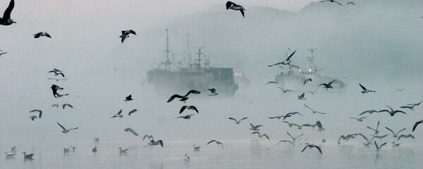 近90條被朝鮮拋棄的漁船漂至日本沿岸 - 俄羅斯衛星通訊社