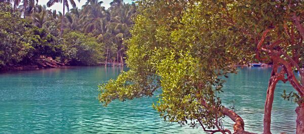 媒體稱菲律賓重新開放長灘島並書寫海灘新規則 - 俄羅斯衛星通訊社