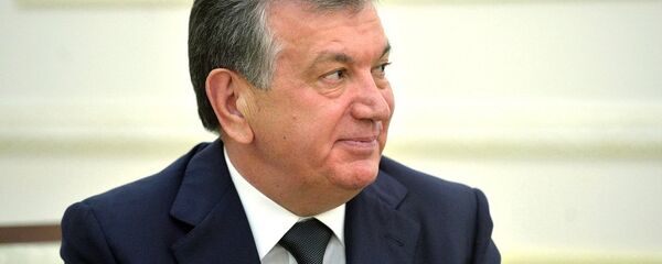 沙夫卡特•米尔济约耶夫 - 俄罗斯卫星通讯社