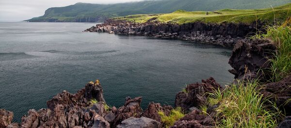 俄州长：阿穆尔州生态游引起中国公民兴趣 - 俄罗斯卫星通讯社