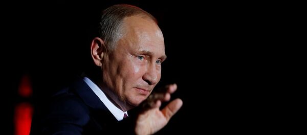 俄议员认为普京与特朗普的会晤或于明年上半年举行 - 俄罗斯卫星通讯社