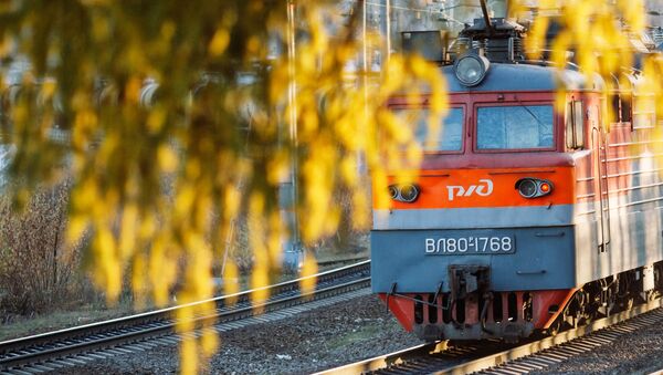 媒体：2016年74%的俄罗斯过境铁路运输货物来自中国 - 俄罗斯卫星通讯社