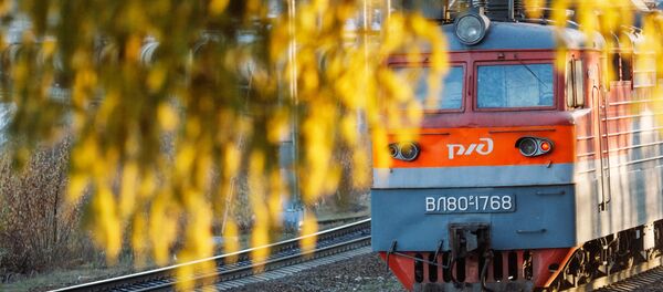 媒體:2016年74%的俄羅斯過境鐵路運輸貨物來自中國 媒體:2016年74%的俄羅斯過境鐵路運輸貨物來自中國 - 俄羅斯衛星通訊社