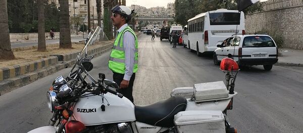 俄议员：俄罗斯可将阿勒颇人道停火延长数日 - 俄罗斯卫星通讯社