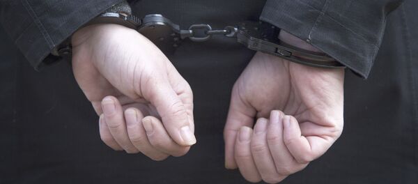 澳大利亚藏针草莓之嫌犯被铺 - 俄罗斯卫星通讯社