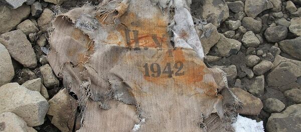 俄科学家在北极发现纳粹秘密基地 - 俄罗斯卫星通讯社