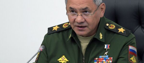 俄国防部长绍伊古大将 - 俄罗斯卫星通讯社