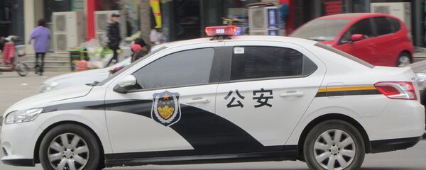 中國警察 - 俄羅斯衛星通訊社