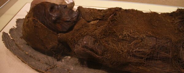 在埃及的阿斯旺發現了10個此前未知的墓葬 - 俄羅斯衛星通訊社