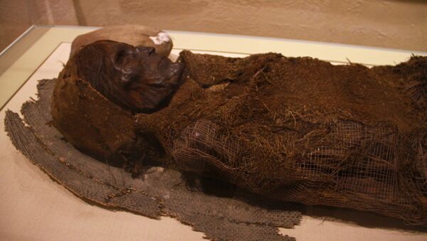 冬宮內的阿爾泰木乃伊被作了X射線掃描，以分析其死因 - 俄羅斯衛星通訊社