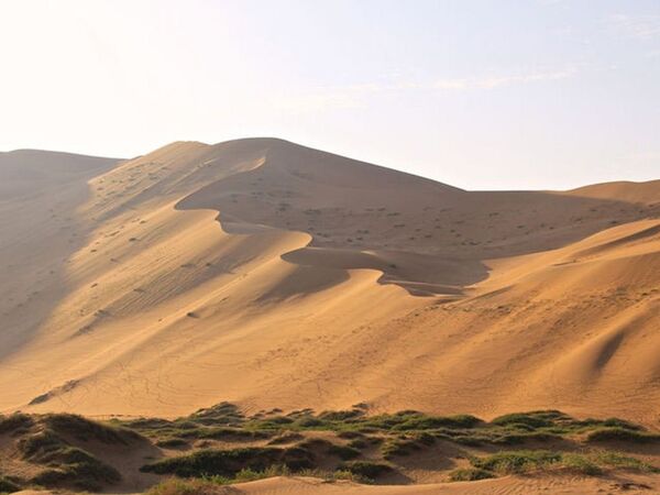 中国的行走沙漠 - 俄罗斯卫星通讯社