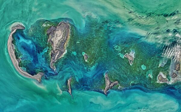 Снимок Тюленьих островов в Каспийском море - 俄罗斯卫星通讯社