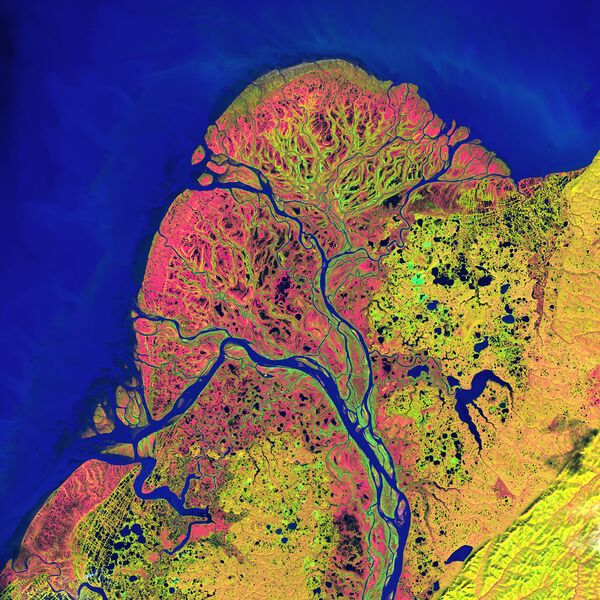 Вид из космоса на национальный заповедник дикой природы Дельта Юкона на Аляске - 俄羅斯衛星通訊社