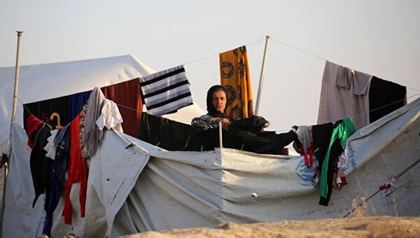 IOM：超過1.65萬人因摩蘇爾行動被迫離開家園 - 俄羅斯衛星通訊社