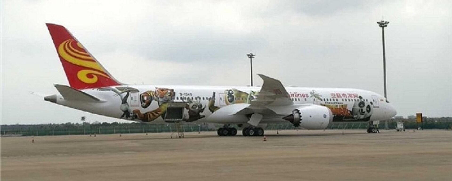 海南航空“功夫熊猫”主题涂装波音787-9客机亮相中国航展 - 俄罗斯卫星通讯社, 1920, 24.07.2024