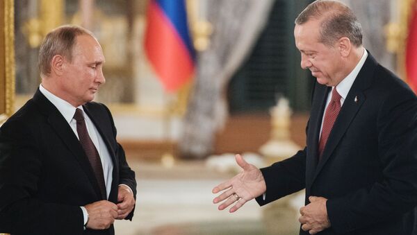 克宫：俄总统普京同土耳其总统埃尔多安举行电话会谈讨论叙利亚局势 - 俄罗斯卫星通讯社