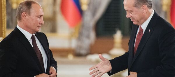 普京与埃尔多安 - 俄罗斯卫星通讯社