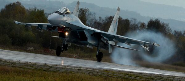 俄專家：J-11D並非“中國版蘇-35” - 俄羅斯衛星通訊社