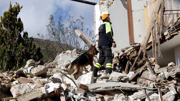 普京：愿意帮助意大利消除地震后果 - 俄罗斯卫星通讯社