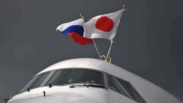 日本外相希望訪俄期間會見普京總統 - 俄羅斯衛星通訊社