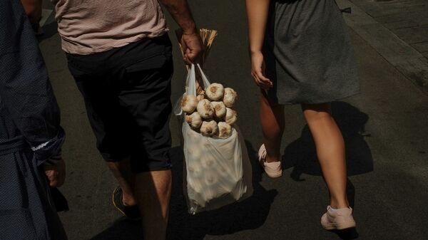 大蒜 - 俄罗斯卫星通讯社