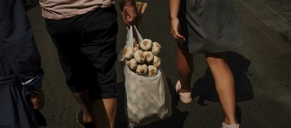 大蒜 - 俄罗斯卫星通讯社