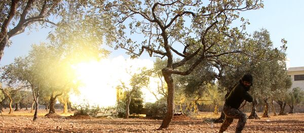 土外長：土耳其不會自主在敘利亞拉卡展開軍事行動 - 俄羅斯衛星通訊社