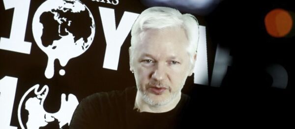 阿桑奇 - 俄罗斯卫星通讯社