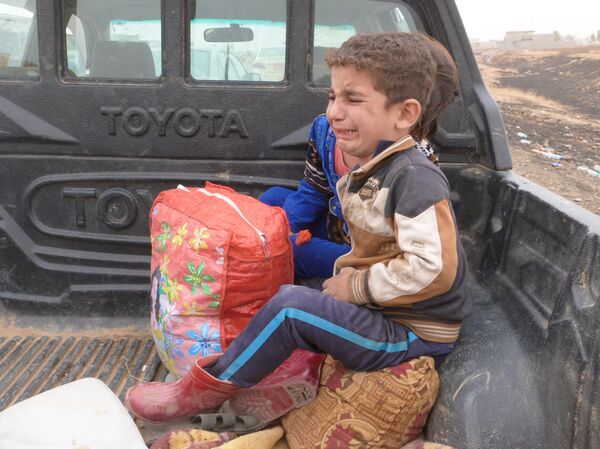 摩蘇爾 - 俄羅斯衛星通訊社