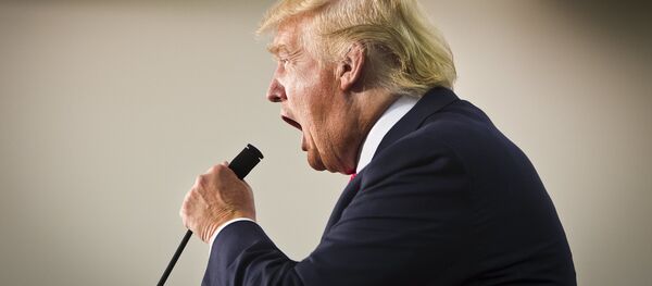 特朗普9项可能根本改变国际形势的竞选承诺 特朗普9项可能根本改变国际形势的竞选承诺 - 俄罗斯卫星通讯社