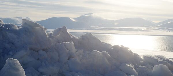 斯瓦尔巴群岛 斯瓦尔巴群岛 - 俄罗斯卫星通讯社