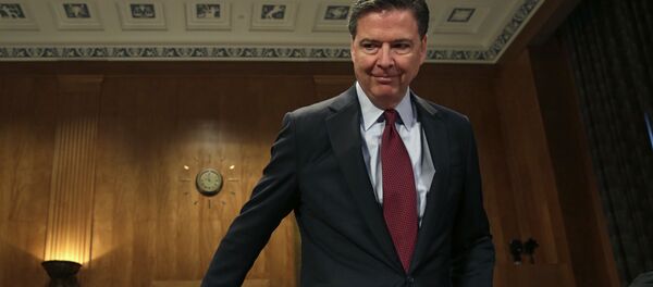 詹姆斯∙科米 - 俄罗斯卫星通讯社