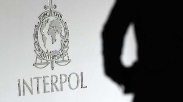 国际刑警组织 - 俄罗斯卫星通讯社