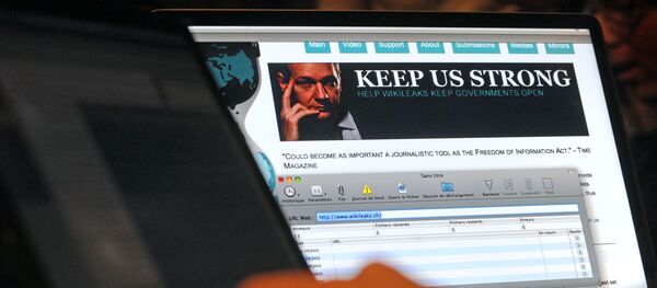 Компьютеры с сайтом WikiLeaks - 俄罗斯卫星通讯社