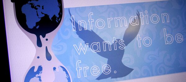 阿桑奇在厄瓜多尔驻伦敦使馆内被密切监视 - 俄罗斯卫星通讯社