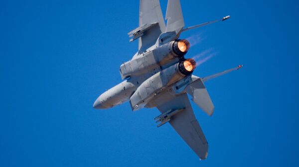 F-15战斗机 - 俄罗斯卫星通讯社