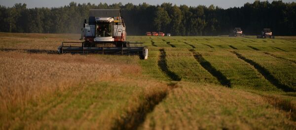 俄总理称俄中两国将进一步发展农工产业合作 俄总理称俄中两国将进一步发展农工产业合作 - 俄罗斯卫星通讯社